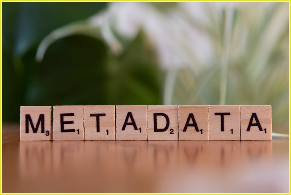 텍스트 추출, 시간 절약과 생산성 향상의 지름길