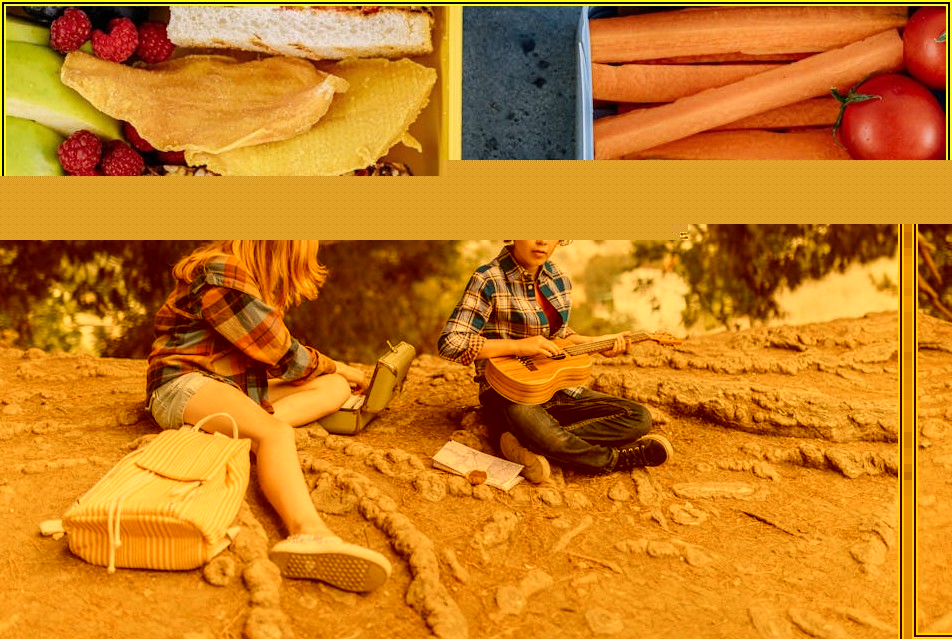 정성 가득 도시락, 샐러드부터 김밥까지 완벽 포장법