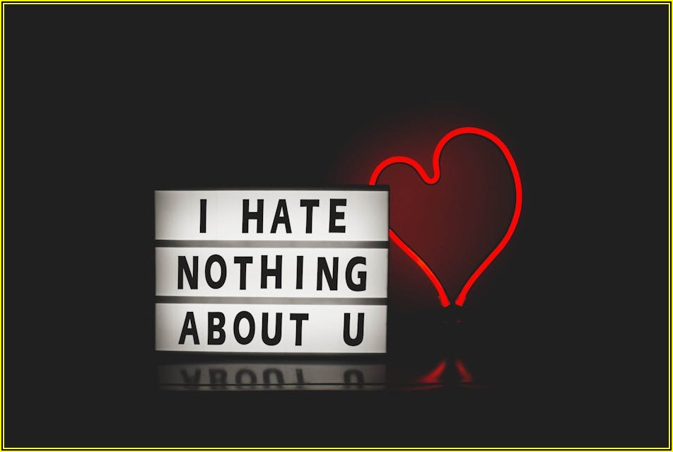 동백꽃의 숨겨진 매력, 동백연화 활용법 총정리