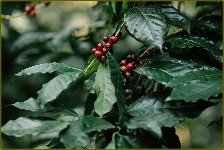 향기로운 공간을 위한 아로마밸브 선택법