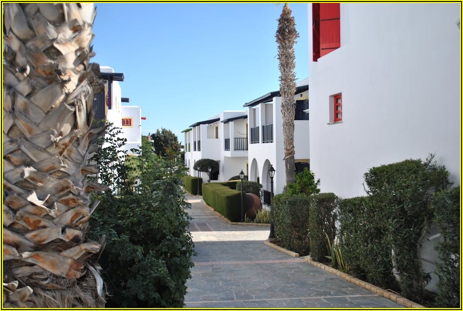 성공적인 일본 유학, 당신의 로드맵을 제시합니다