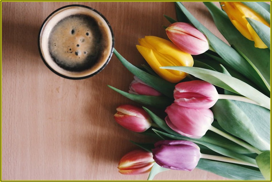 여행 중 만나는 힐링, 최고의 휴게소 카페 찾기