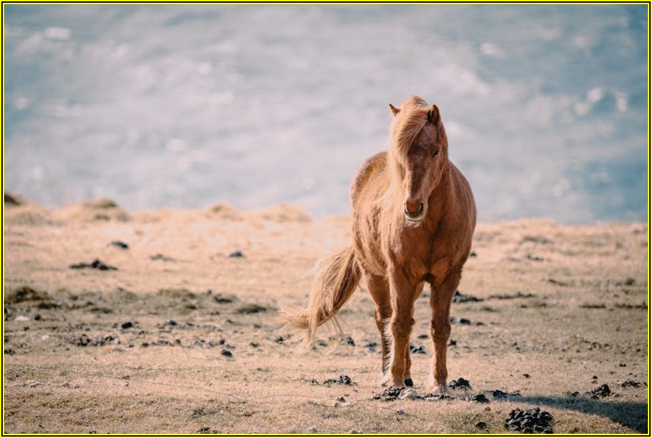 고퀄 무료 스티커, 디자인 고민 끝내는 완벽 가이드