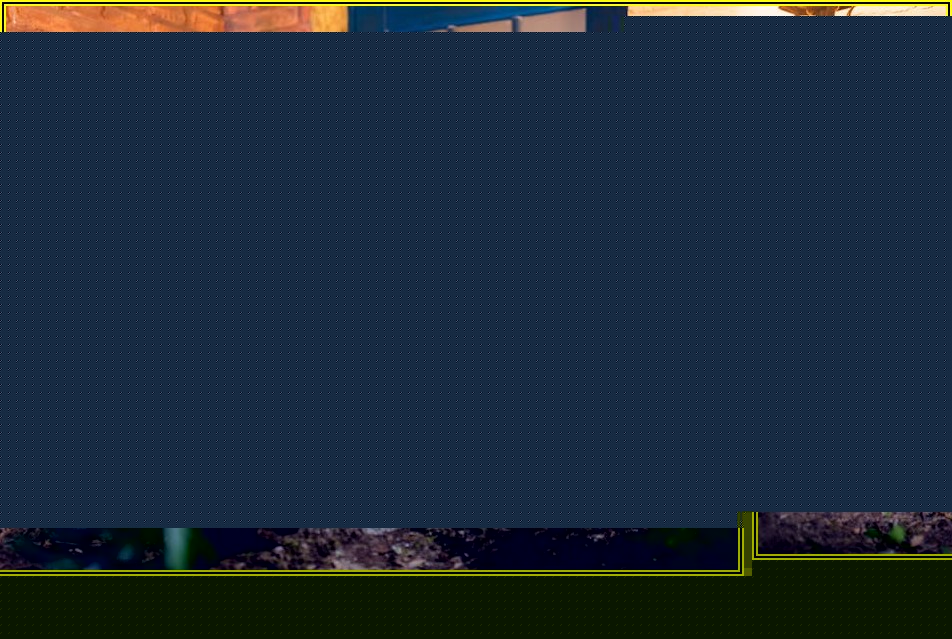 마법사로 변신! 해리포터 테마 의상 대여의 모든 것