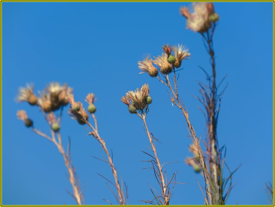 드라이 팬던트 헤드, 최적의 성능을 위한 관리법