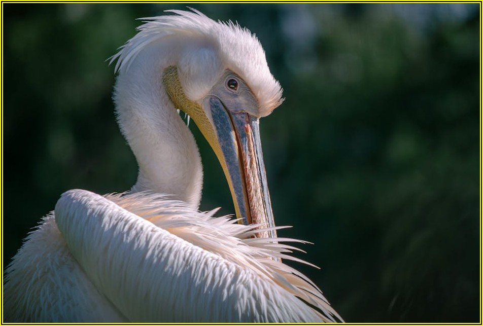 우리 아이 생일 파티, 대형 에어바운스 대여로 특별하게