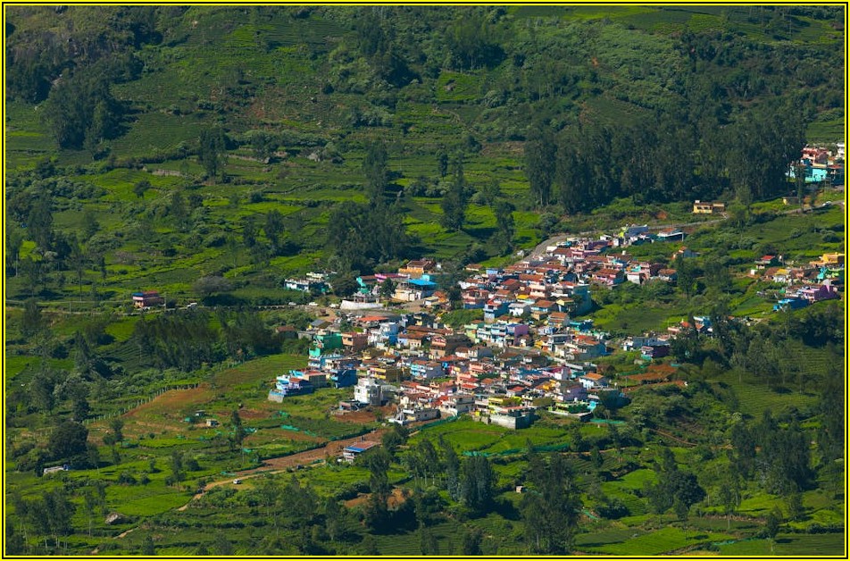 농업 교육으로 전문가 되기: 자격증 취득 가이드