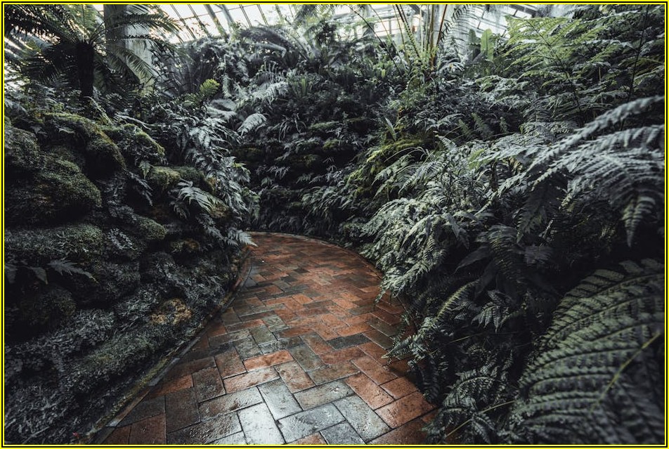 산소 포장기 구매 전 필수 체크리스트 공개