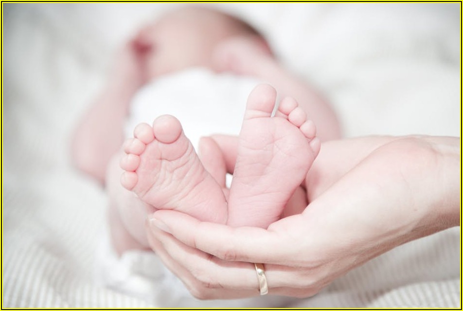 마포맘 필수 코스! 지역 정보부터 육아 노하우까지