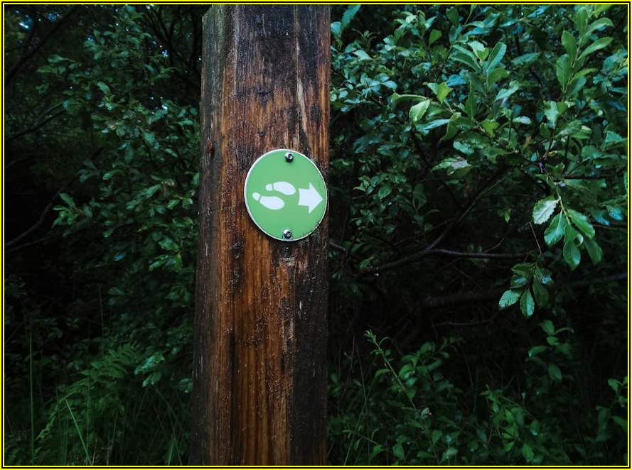 안내 표지 제작, 비용 절감 꿀팁 가이드