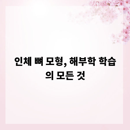 인체 뼈 모형, 해부학 학습의 모든 것