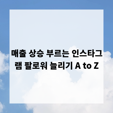 매출 상승 부르는 인스타그램 팔로워 늘리기 A to Z