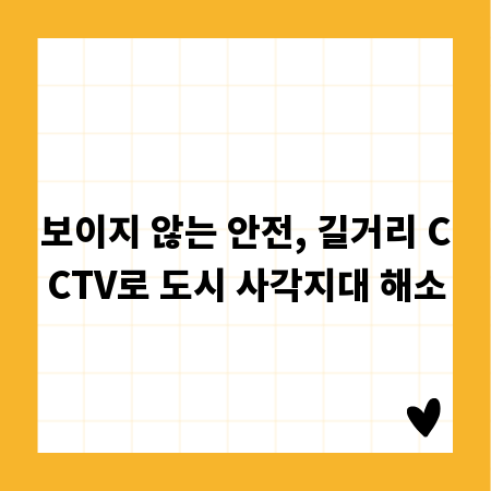 보이지 않는 안전, 길거리 CCTV로 도시 사각지대 해소