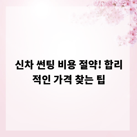 신차 썬팅 비용 절약! 합리적인 가격 찾는 팁