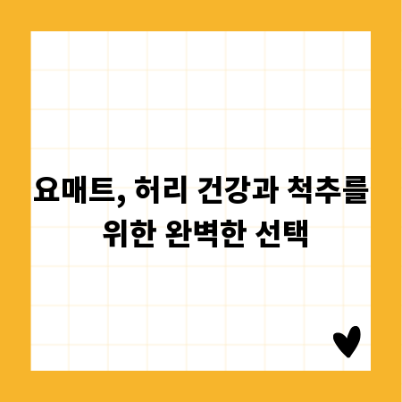요매트, 허리 건강과 척추를 위한 완벽한 선택