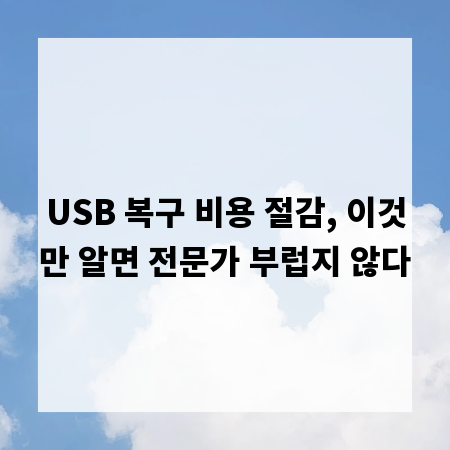 USB 복구 비용 절감, 이것만 알면 전문가 부럽지 않다
