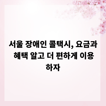 서울 장애인 콜택시, 요금과 혜택 알고 더 편하게 이용하자