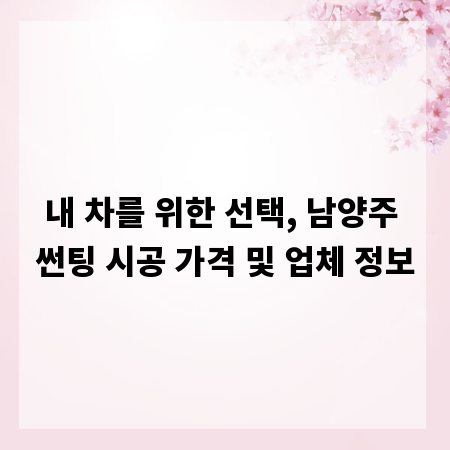 내 차를 위한 선택, 남양주 썬팅 시공 가격 및 업체 정보