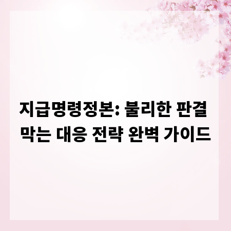 지급명령정본: 불리한 판결 막는 대응 전략 완벽 가이드