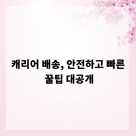 캐리어 배송, 안전하고 빠른 꿀팁 대공개