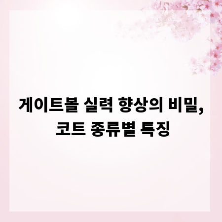 게이트볼 실력 향상의 비밀, 코트 종류별 특징