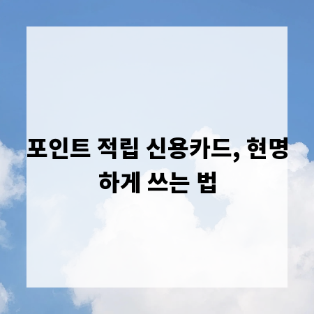 포인트 적립 신용카드, 현명하게 쓰는 법