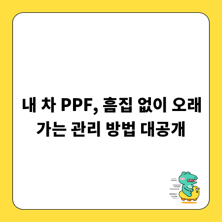 내 차 PPF, 흠집 없이 오래가는 관리 방법 대공개