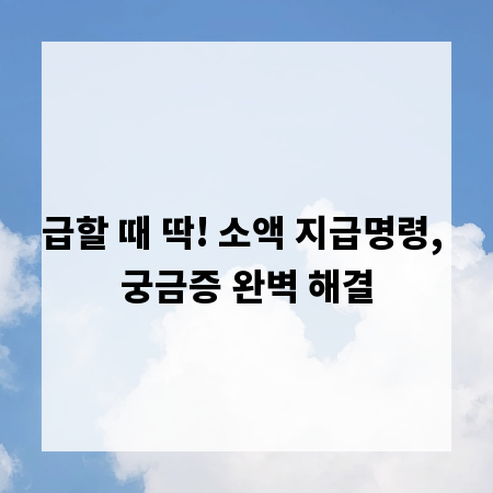 급할 때 딱! 소액 지급명령, 궁금증 완벽 해결