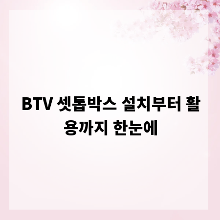 BTV 셋톱박스 설치부터 활용까지 한눈에
