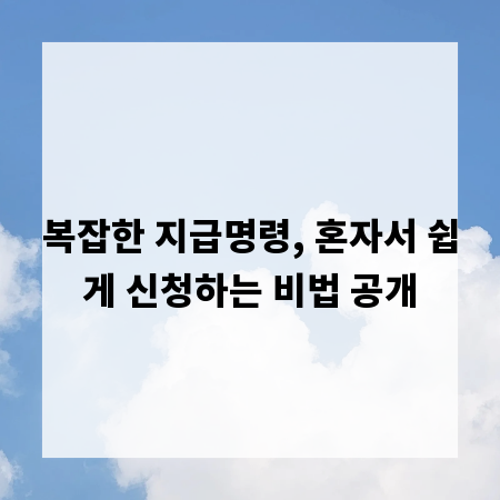 복잡한 지급명령, 혼자서 쉽게 신청하는 비법 공개