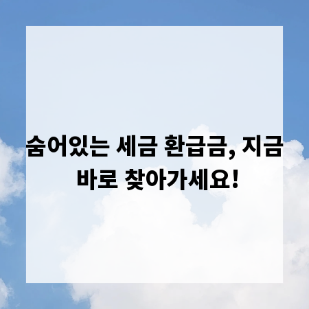 숨어있는 세금 환급금, 지금 바로 찾아가세요!