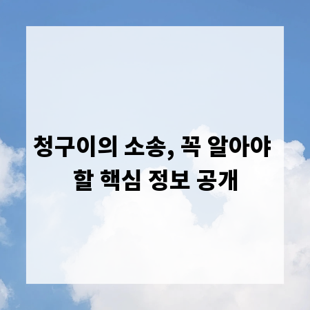 청구이의 소송, 꼭 알아야 할 핵심 정보 공개