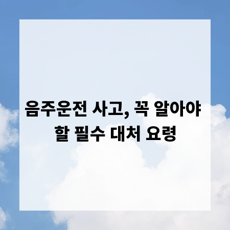 음주운전 사고, 꼭 알아야 할 필수 대처 요령