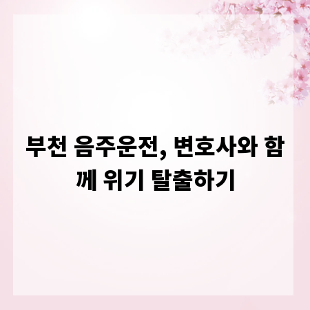 부천 음주운전, 변호사와 함께 위기 탈출하기