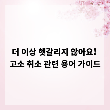 더 이상 헷갈리지 않아요! 고소 취소 관련 용어 가이드