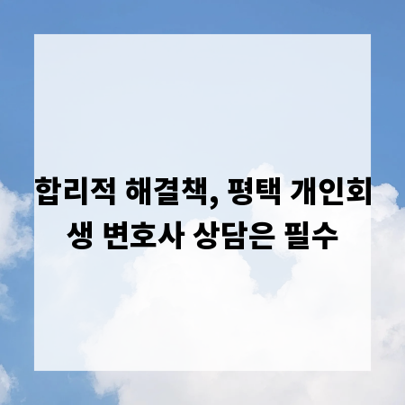 합리적 해결책, 평택 개인회생 변호사 상담은 필수