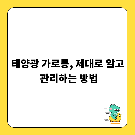 태양광 가로등, 제대로 알고 관리하는 방법