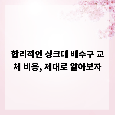 합리적인 싱크대 배수구 교체 비용, 제대로 알아보자