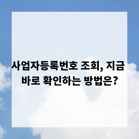 사업자등록번호 조회, 지금 바로 확인하는 방법은?