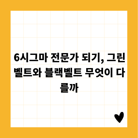 6시그마 전문가 되기, 그린벨트와 블랙벨트 무엇이 다를까