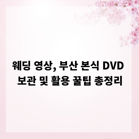 웨딩 영상, 부산 본식 DVD 보관 및 활용 꿀팁 총정리