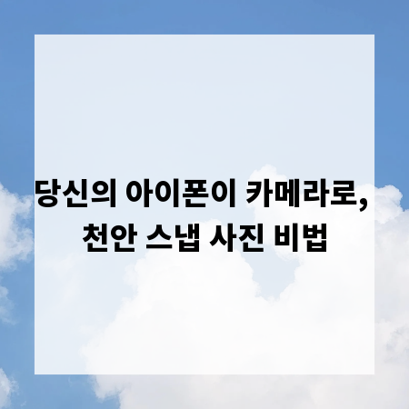 당신의 아이폰이 카메라로, 천안 스냅 사진 비법