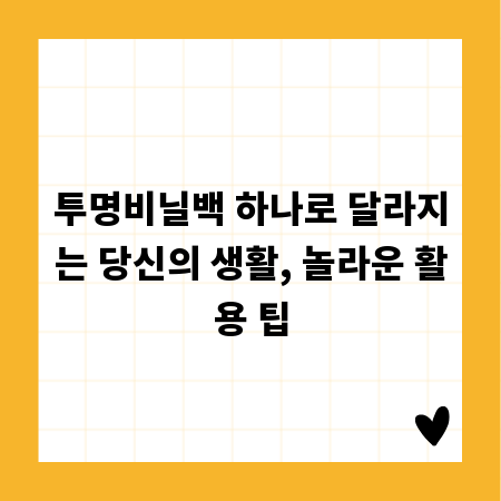 투명비닐백 하나로 달라지는 당신의 생활, 놀라운 활용 팁