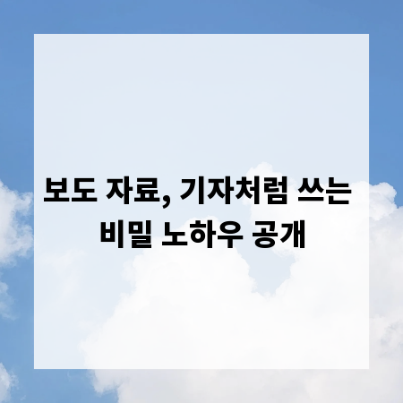 보도 자료, 기자처럼 쓰는 비밀 노하우 공개