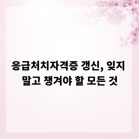 응급처치자격증 갱신, 잊지 말고 챙겨야 할 모든 것