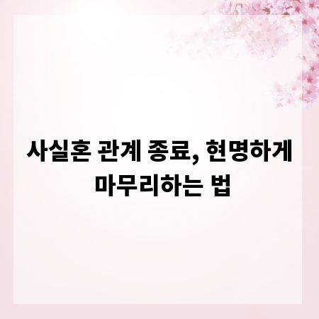 사실혼 관계 종료, 현명하게 마무리하는 법