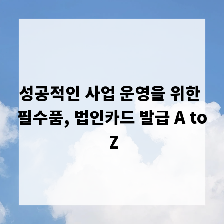 성공적인 사업 운영을 위한 필수품, 법인카드 발급 A to Z