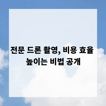 전문 드론 촬영, 비용 효율 높이는 비법 공개