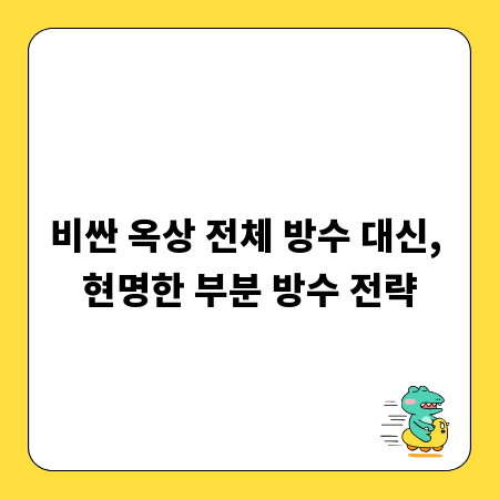 비싼 옥상 전체 방수 대신, 현명한 부분 방수 전략
