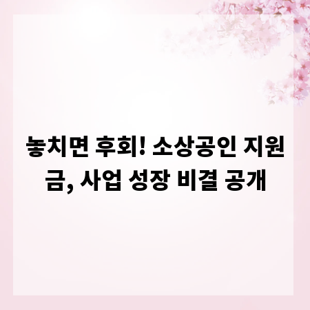 놓치면 후회! 소상공인 지원금, 사업 성장 비결 공개